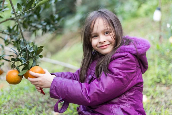 Criança na fazenda cor de laranja — Fotografia de Stock