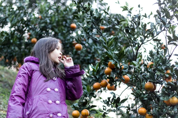 Enfant à la ferme orange — Photo