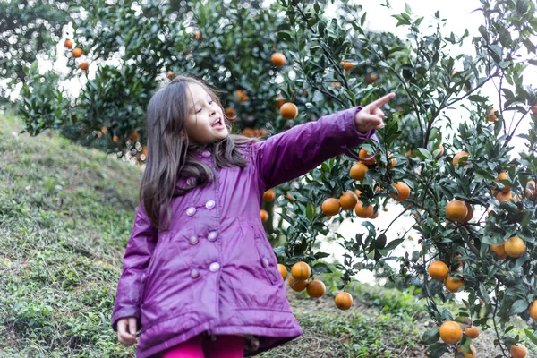 Child on Orange Farm — Stock Photo, Image