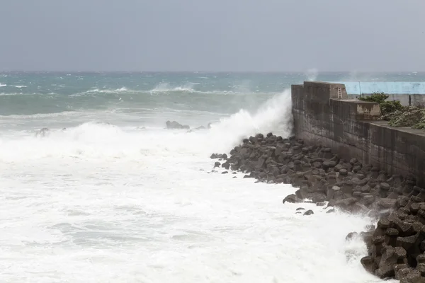 Mar tempestuoso durante o tufão, ondas batendo na parede da barreira — Fotografia de Stock