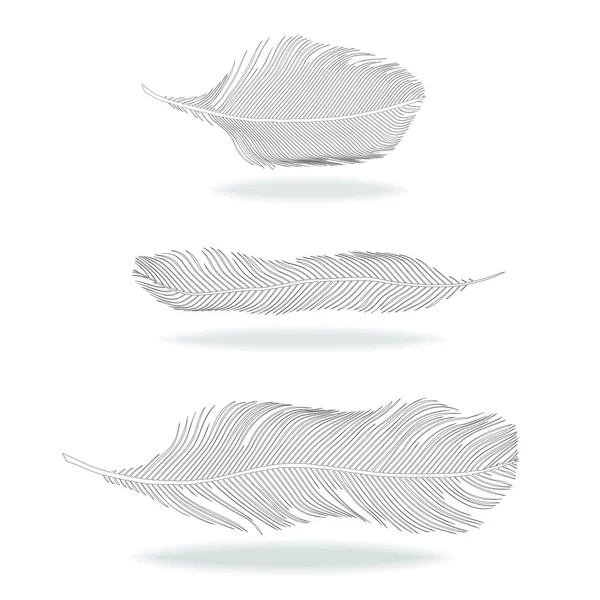 Three feathers — Stock Vector