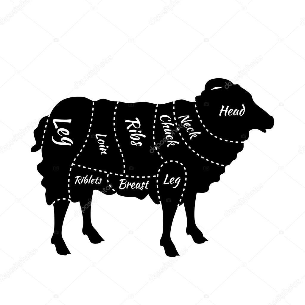 Cuts of Lamb or Mutton Diagram