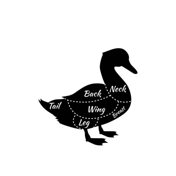 Typographic Duck Butcher Cuts Diagram — Stock Vector
