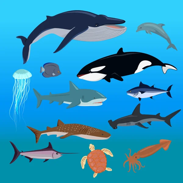 Fauna marina Conjunto de animales acuáticos — Vector de stock