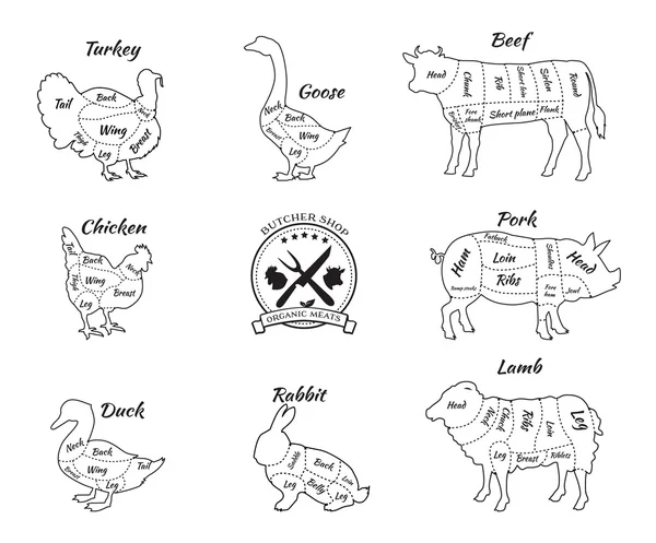 Set Schematic Vew of Animals for Butcher Shop — Stock vektor