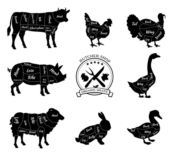 Set Schematic Vew of Animals for Butcher Shop — Stock Vector