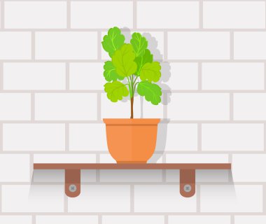 Houseplant tasarım düz kavramı