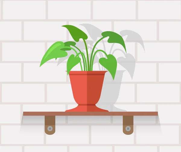 Zimmerpflanzen entwerfen flaches Konzept — Stockvektor