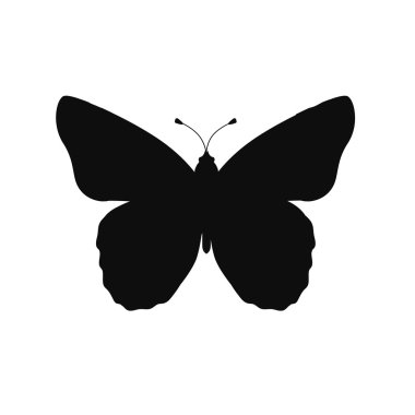 Beyaz Arka Planda İzole Böcekler Kelebekler