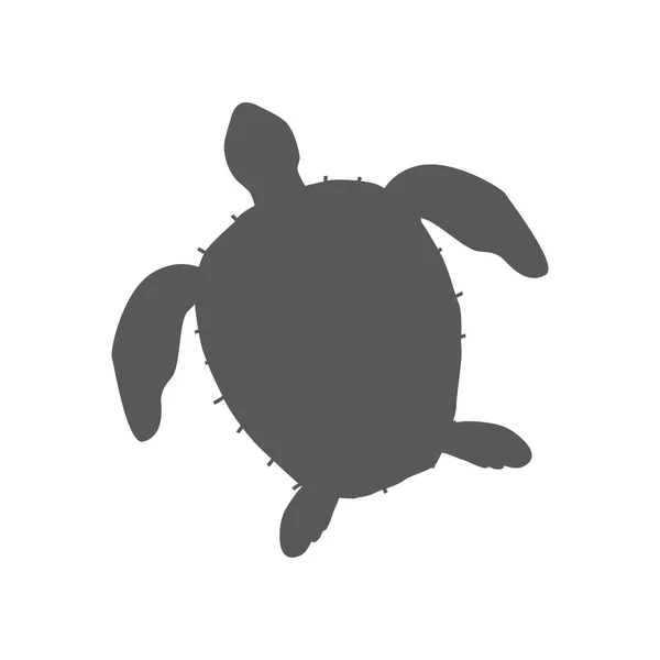 Черепаха изолированы на белом фоне — стоковый вектор