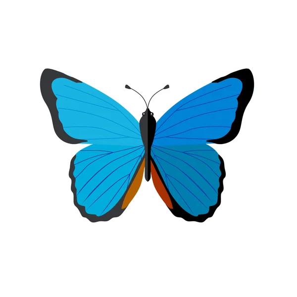 Комахи Метелики ізольовані на білому тлі — стоковий вектор