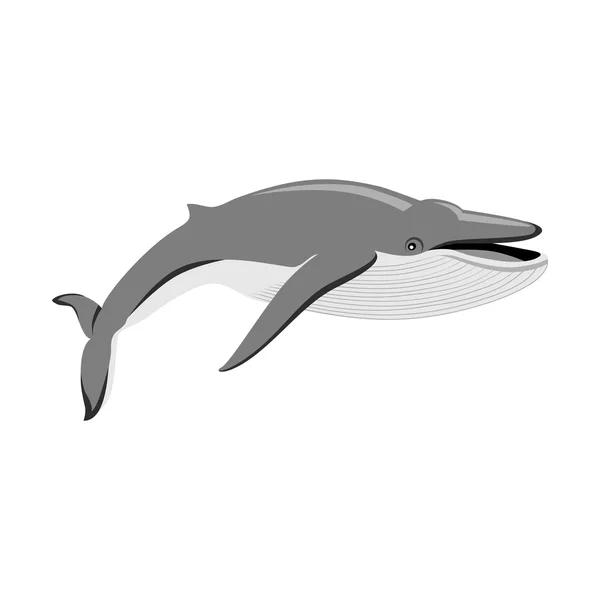 Baleia Negra Isolada em Fundo Branco — Vetor de Stock