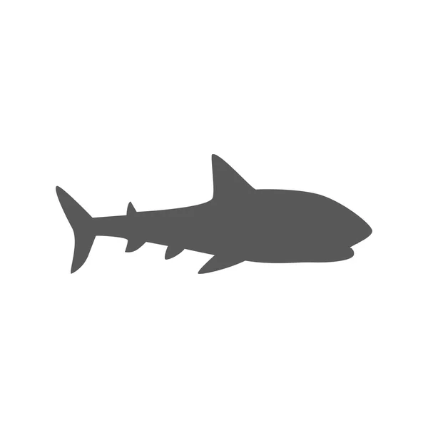 Marine Predator Shark Design Flat — Stock Vector