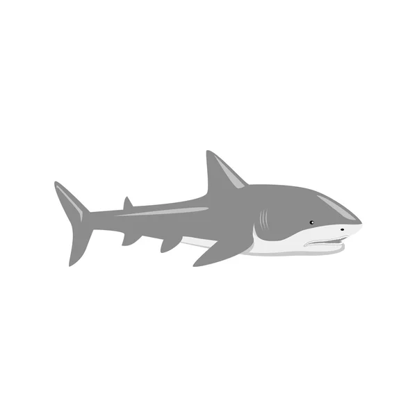 Marine Predator Shark Design piatto — Vettoriale Stock