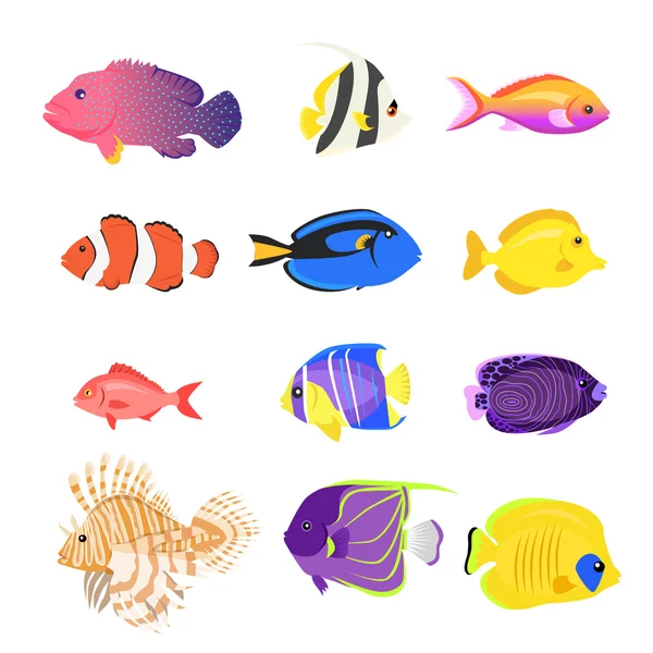 Conjunto de peixes do mar projeto de cor plana — Vetor de Stock