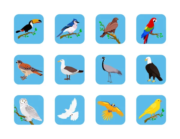 Gyűjtemény a különböző madarak-lapos kivitel — Stock Vector