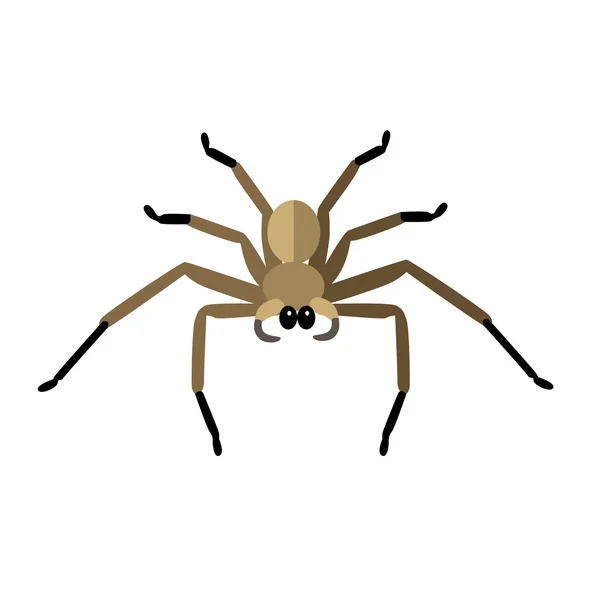 Vecteur d'icône d'araignée — Image vectorielle