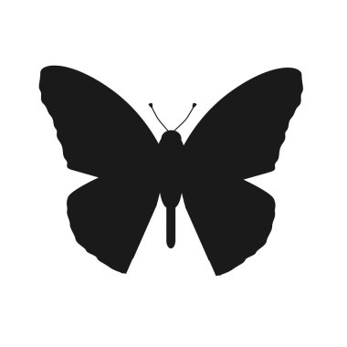 Beyaz Arka Planda İzole Böcekler Kelebekler