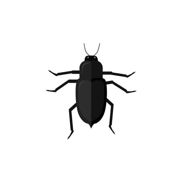 Protaetia pode Bug Insect Design Flat —  Vetores de Stock