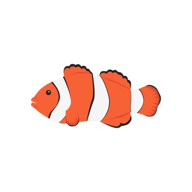 Palyaço turuncu balık