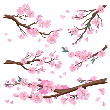 Gerçekçi Sakura Japonya kiraz Şubesi