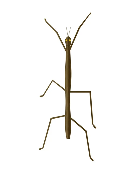 Stick Insect or Phasmids Icon — Wektor stockowy