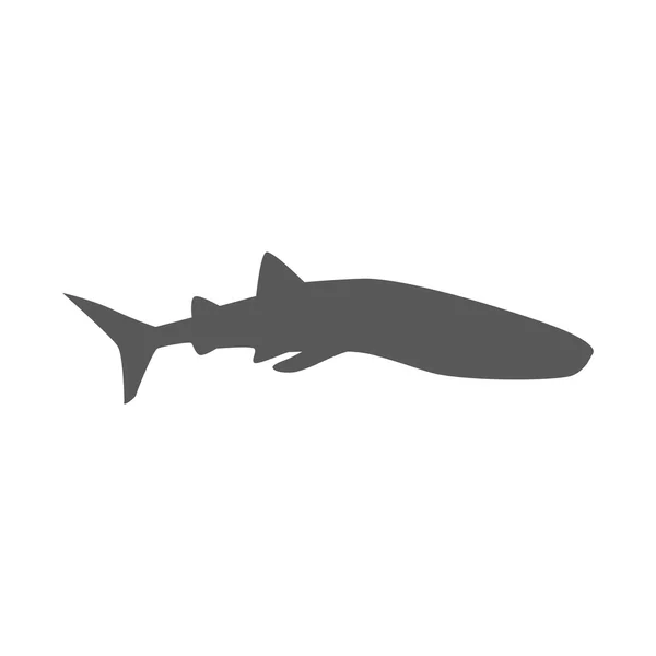 Conception de requin prédateur marin Plat — Image vectorielle