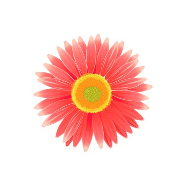 Düz izole güzellik çiçek tasarım
