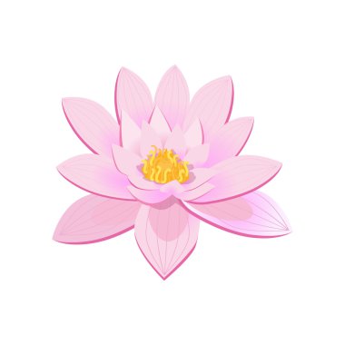 Düz izole güzellik çiçek tasarım