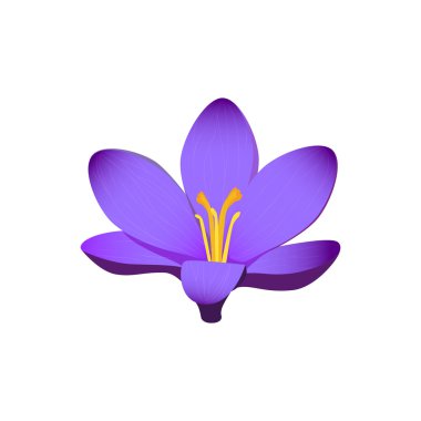 Düz izole güzellik çiçek tasarım