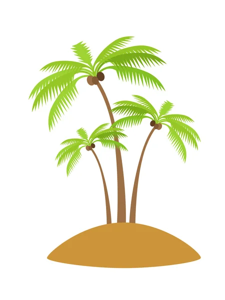 Palmboom met kokosnoot — Stockvector