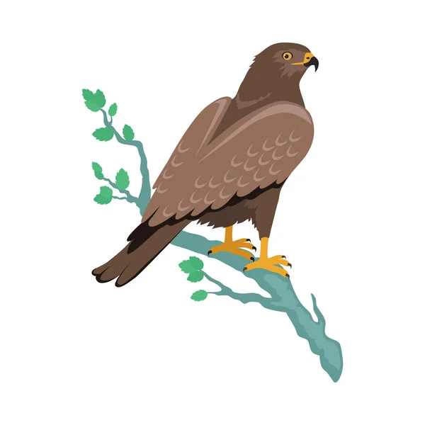 Hawk Flat Design Vector Illustration — Stock Vector