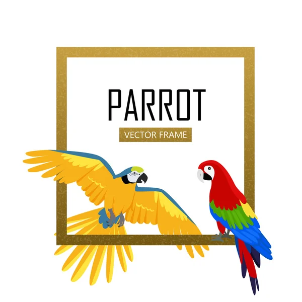 Ara papagáj lapos Design vektor illusztráció — Stock Vector