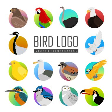 Kuş Logo vektör çizim seti