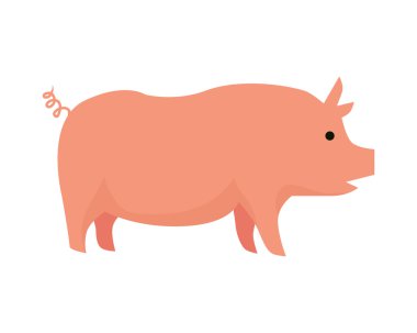 Beyaz Domuz Düz Tasarım Vektör İllüstrasyon.