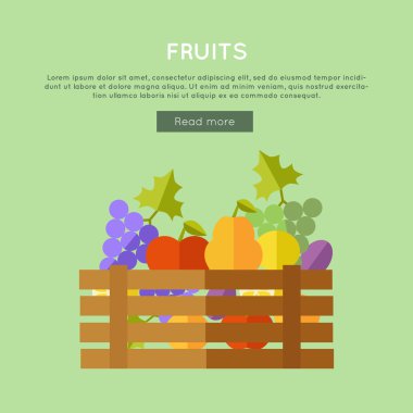 Düz Tasarım meyve vektör web banner.