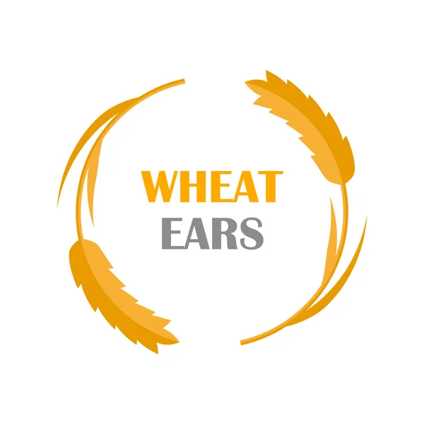 Wheat Ears Concept Illustration in Flat Design. — Stock vektor