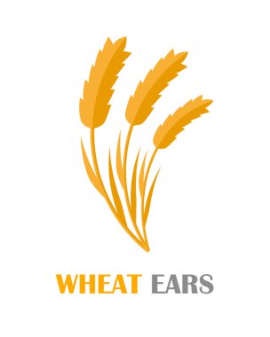 Wheat Ears Concept Illustration in Flat Design.