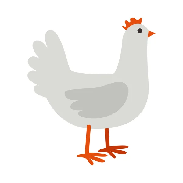 Gallina disegno piatto vettoriale illustrazione su bianco . — Vettoriale Stock