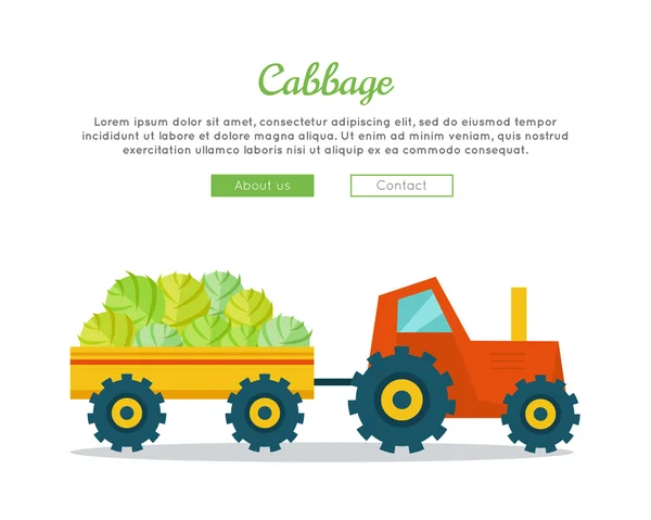 Cabbage Farm Web Vector Banner en diseño plano . — Vector de stock