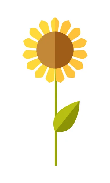 Girasol, trigo, maíz vector ilustración . — Vector de stock