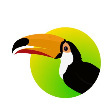 Toucan kuş düz tasarım vektör çizim