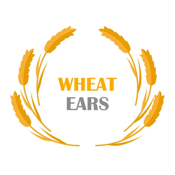 Wheat Ears Concept Illustration in Flat Design. — Stock Vector