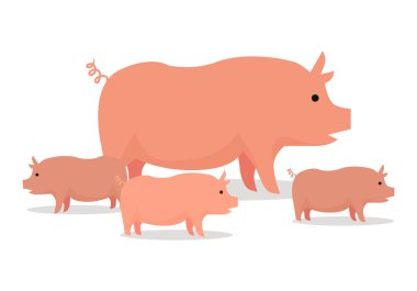 Pigs Düz Tasarım Vektör İllüstrasyon. Beyaz Üzerinde.