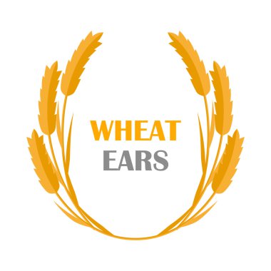 Wheat Ears Concept Illustration in Flat Design.