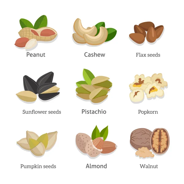 Set van zaden en noten Vector illustraties — Stockvector