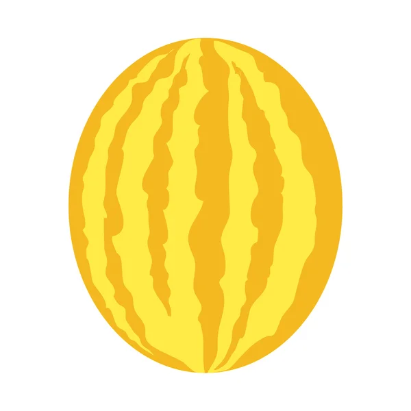 Ilustración de vectores de melón en diseño de estilo plano . — Vector de stock