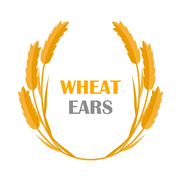 Wheat Ears Concept Illustration in Flat Design. — Stock Vector
