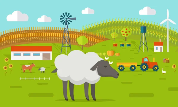 Schapen op boerenerf concept illustratie. — Stockvector