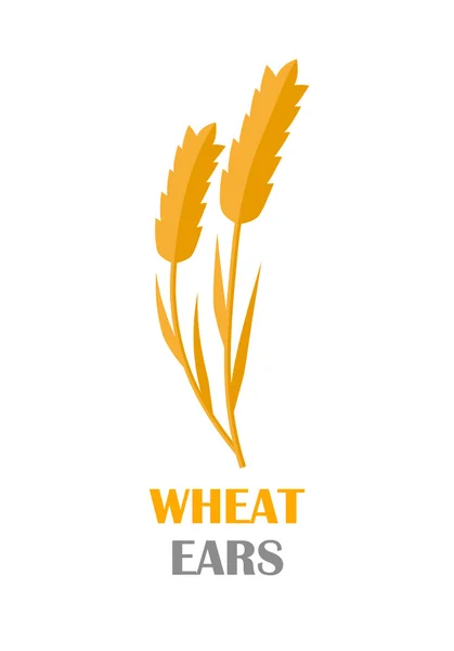 Wheat Ears Concept Illustration in Flat Design. — Stock Vector